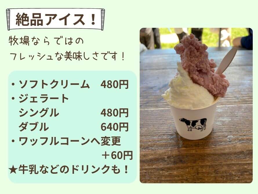 アイスの写真