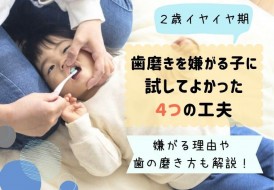 歯みがきをする子どもイヤイヤ期の対応