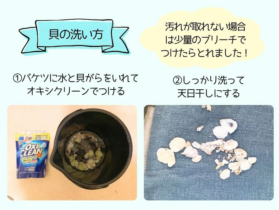 貝がらの洗い方