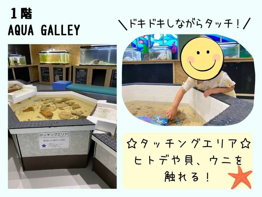ふれあいコーナーの様子
