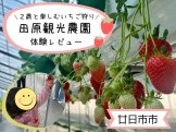 田原観光農園のいちご狩り体験