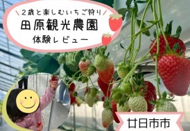 田原観光農園のいちご狩り体験