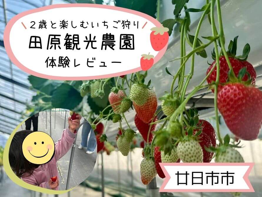 田原観光農園のいちご狩り体験