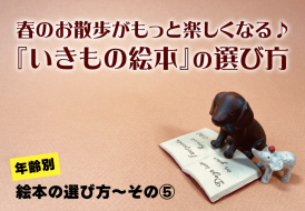 44215411f29e9332dda53b8ba67b5cb6