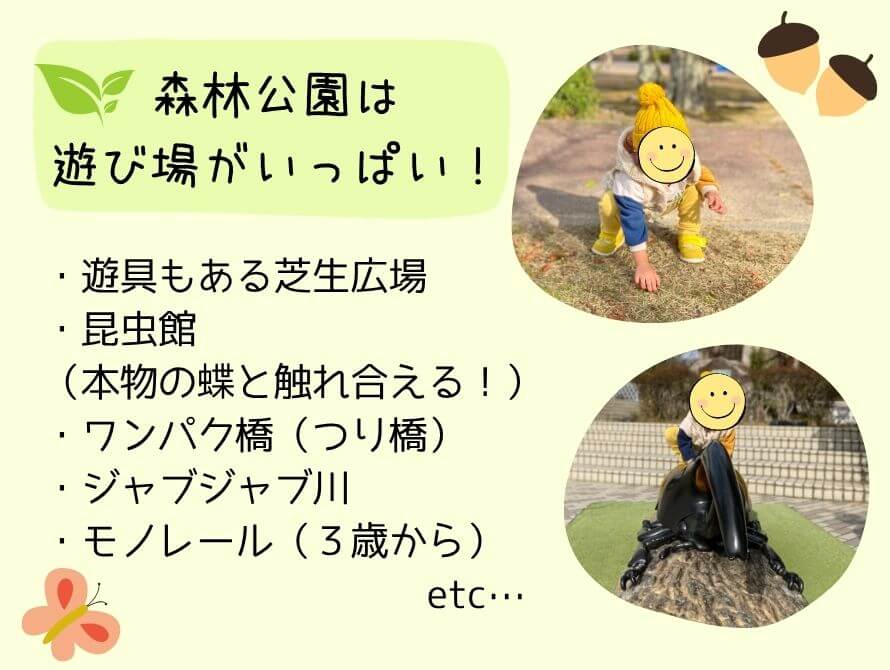 森林公園の遊び場