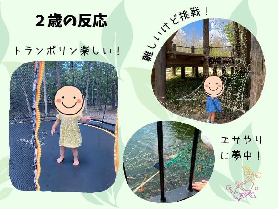 2歳の反応