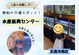 穴場スポット水産振興センター
