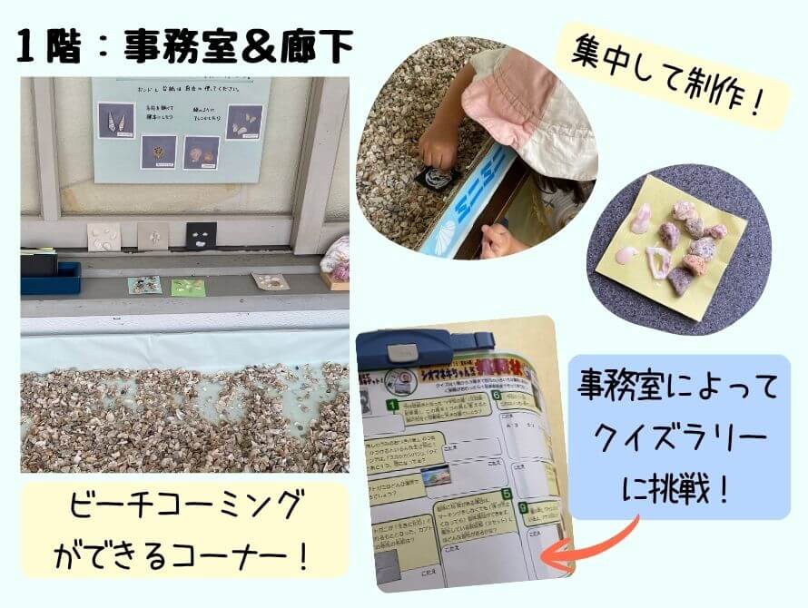 ビーチコーミングの様子