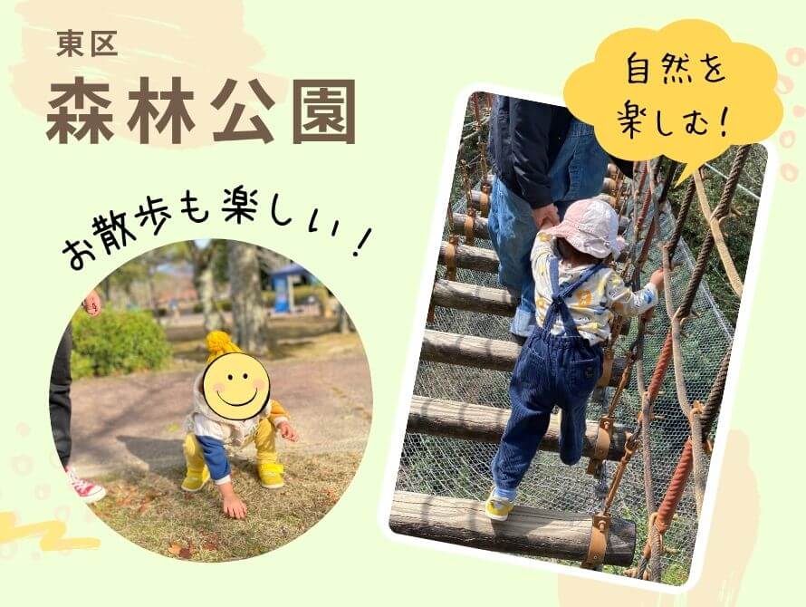 森林公園の写真