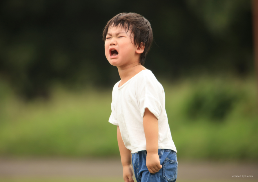 993d1269930e8fb7dbadb8326c3b79fc