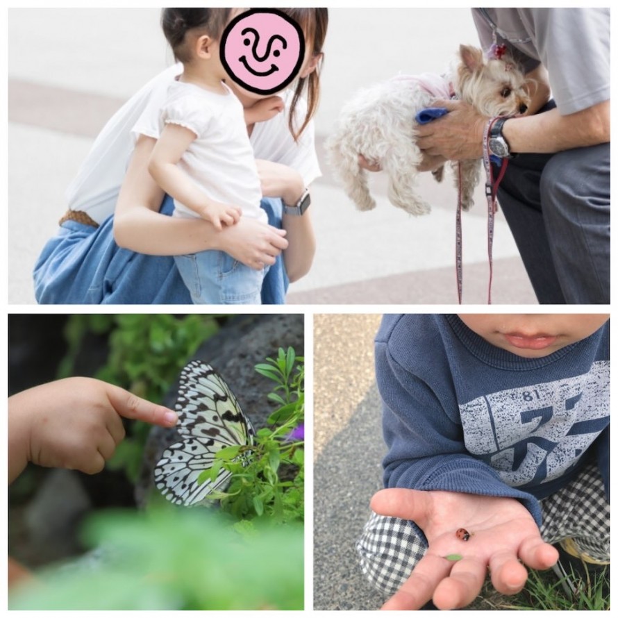 Minimalist-Summer-Photo-Collage-Instagram-Post_B8D49CAD