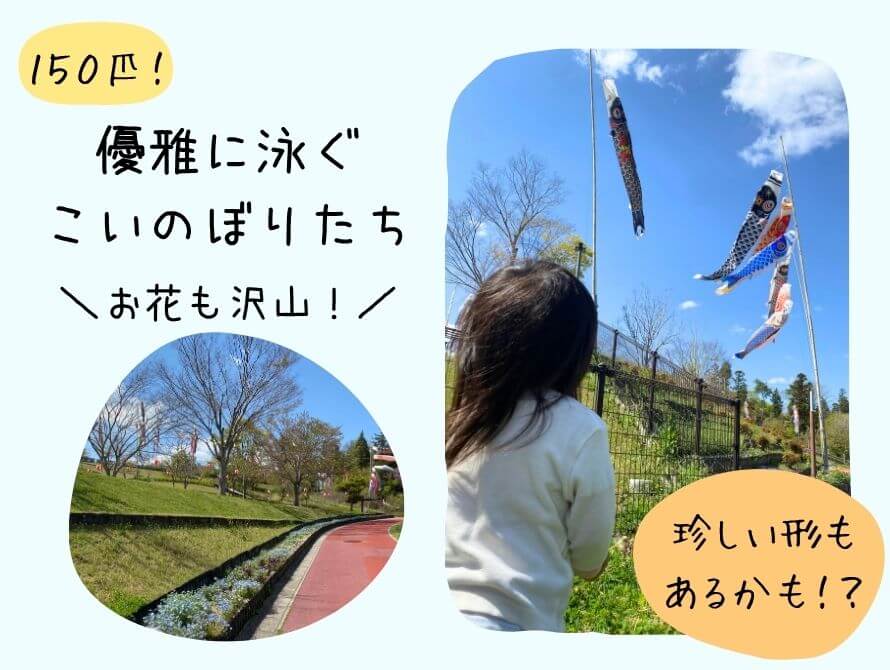 こいのぼりとお花の画像