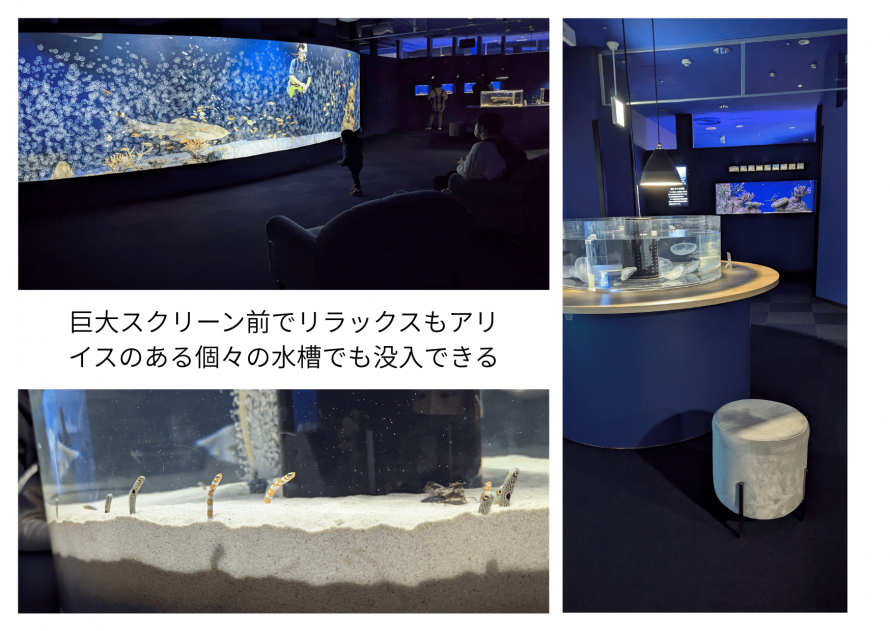 シンマリホ水族館 3