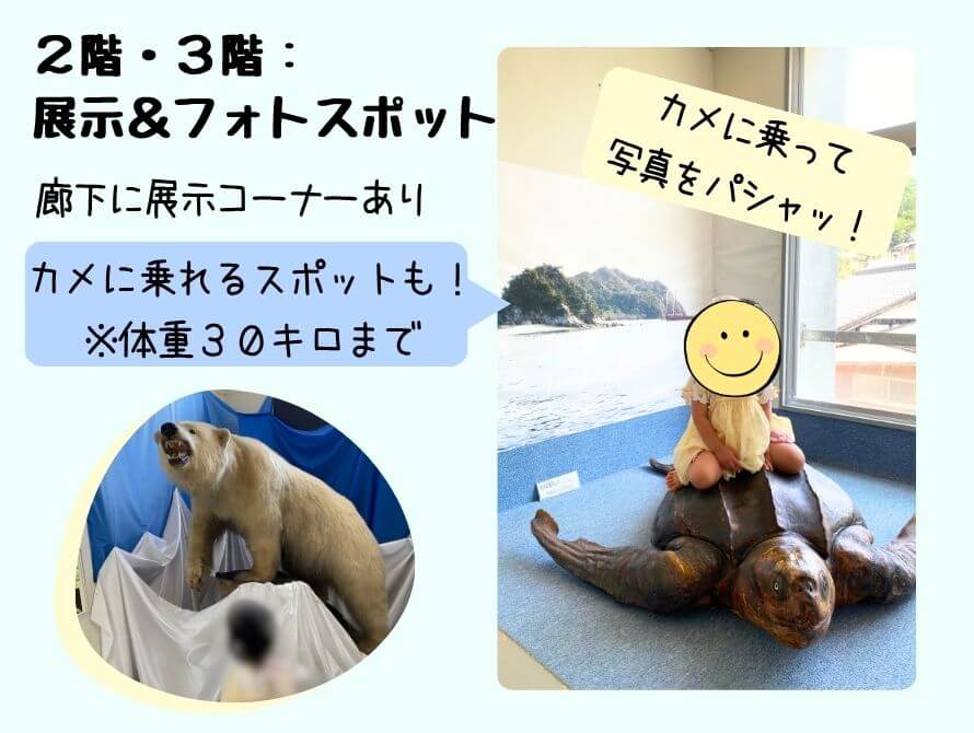 ２階３階の様子