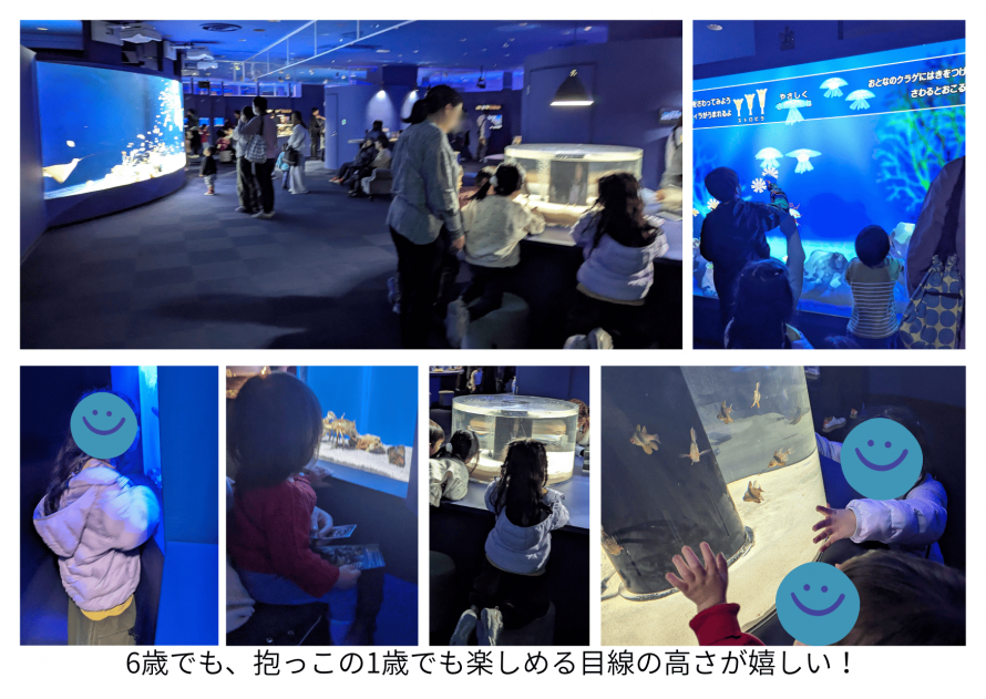 シンマリホ水族館 1