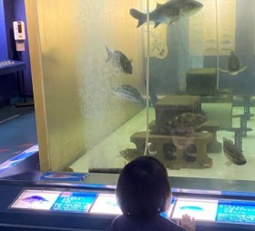大きな水槽