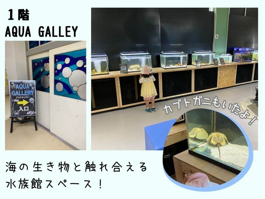 さとうみ科学館水族館スペース