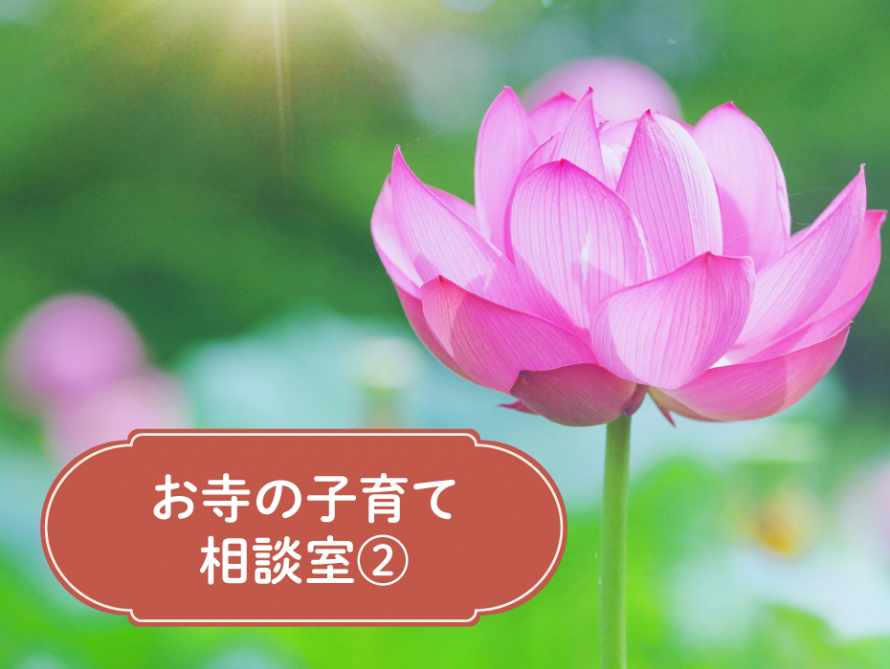 otera-kosodate-02-main